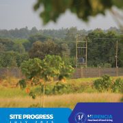 Site progress July1